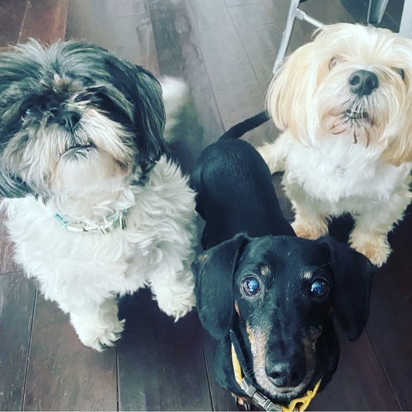 Meet your Posher, Lori - Picture 5 of 5